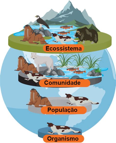 Ecossistema Mapa Mental