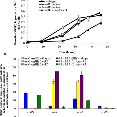 A Growth Of The Wild Type ArsR1 Deletion Mutant ArsR2 Deletion