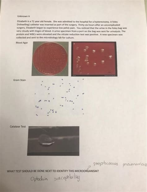 Solved The results of the bile esculin agar are shown here. | Chegg.com