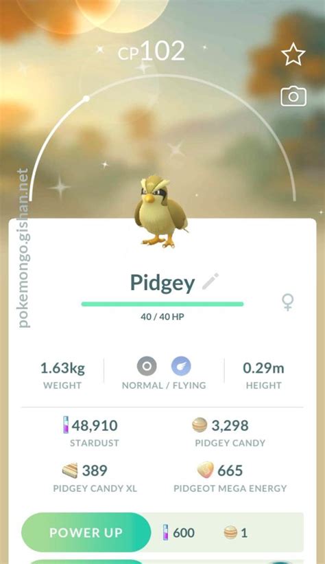 Shiny Pidgey - Pokemon Go