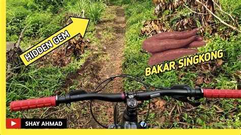 Begini Cara Bakar Singkong Biar Empuk Merata Gowes Ke Kebun Pak