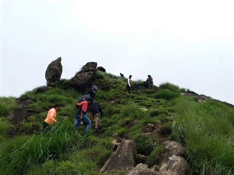 Highest Peak In Munnar Around 7000ft Tripoto