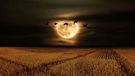 Full Moon October 2023 | When Is The Hunter’s Moon 2023 | Blood Moon ...