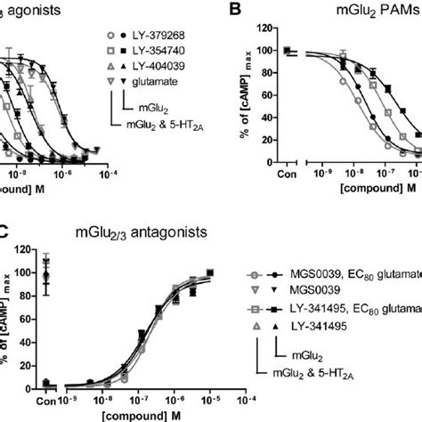 Co Expression Of The MGlu 2 Receptor Has No Effect On 5 HT 2A Agonist