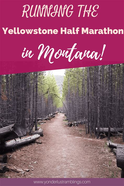 Yellowstone Marathon November 2024 Dates Kitti Lindsay