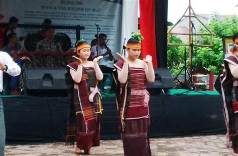 Tari Tor Tor Berasal Dari Daerah Combinesiawebid