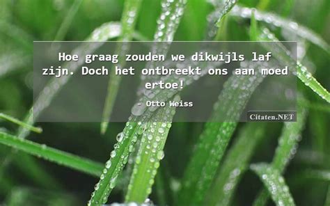 Citaten Met Ertoe Citaten Quotes Aforismen En Wijsheden Citaten Net