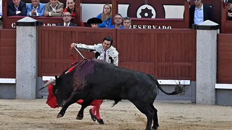 Juez Suspende Por Tercera Vez Las Corridas De Toros En CDMX Notigram