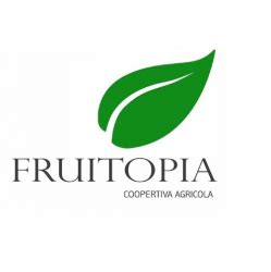 About us – Fruitopia