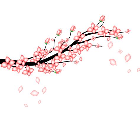 Cherry Blossom Card Vector Art Png Cherry Blossoms Vector Design Cherry Blossom Universal