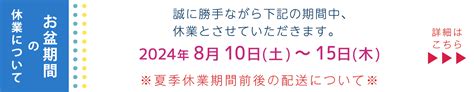 【楽天市場】p10倍！860000～892359 Tvで紹介★／【公式ストア】 Pluseauポイントリペアアホ毛 抑える