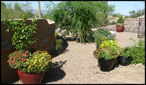 Desert Heat Five Tips For A Worry Free Summer In Your Desert Pots