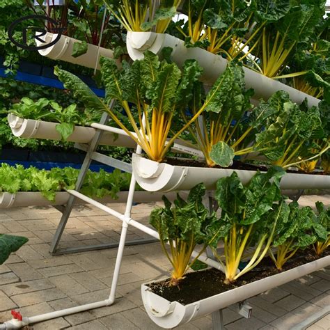 Greenhouse Ebb And Flow Rolling Bench With Growing Trays Hydroponics