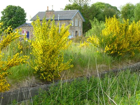 Fearn Station SRDemus Flickr