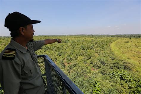 Selangor Kekalkan Peratus Hutan Simpan Kuala Langat Utara Selangorkini