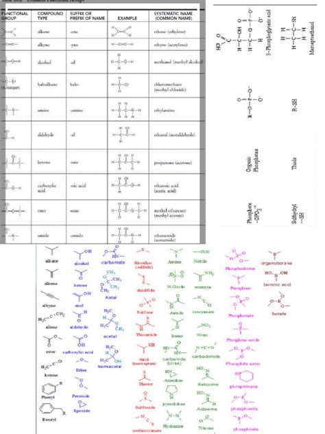 functional groups | PDF