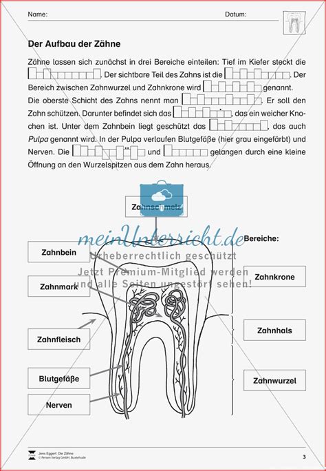 5 Sensationell Zahn Grundschule Arbeitsblätter Für 2022 Kostenlose