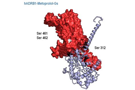 Metoprolol: An old drug with unique cardioprotective properties