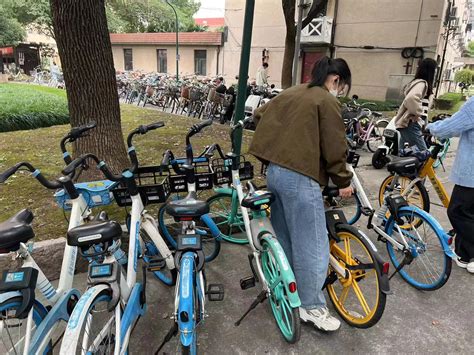 学习二十大 上财在行动 经济学院本科一支部开展整理共享单车，共建文明校园主题党日活动