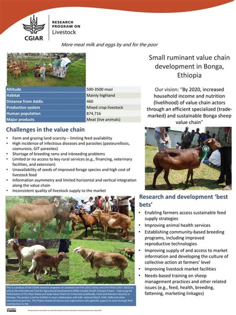 Small Ruminant Value Chain Development In Bonga Ethiopia PDF