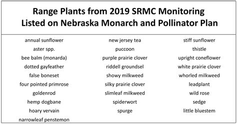 Pollinators And Nebraska Rangelands Unl Beef