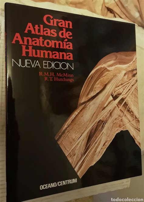 gran atlas de anatomía humana nueva edicion Comprar Libros de