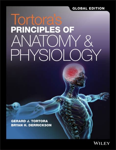 Anatomy And Physiology 5th Edition