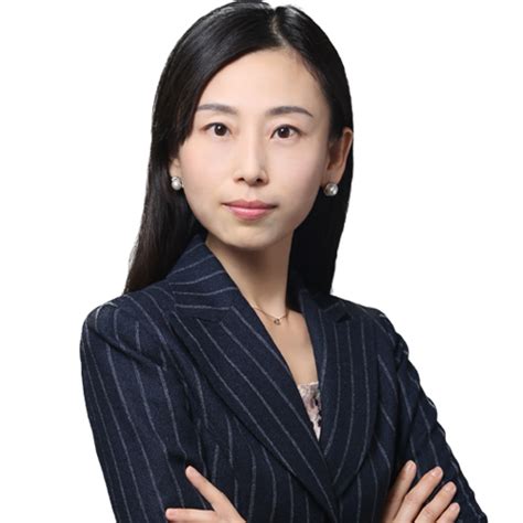 Wenting Li Professionalshylands Law Firm