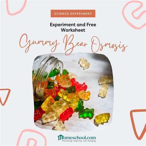 Gummy Bear Science Fair Board Setup Science Fair 2023 – East Midvale
