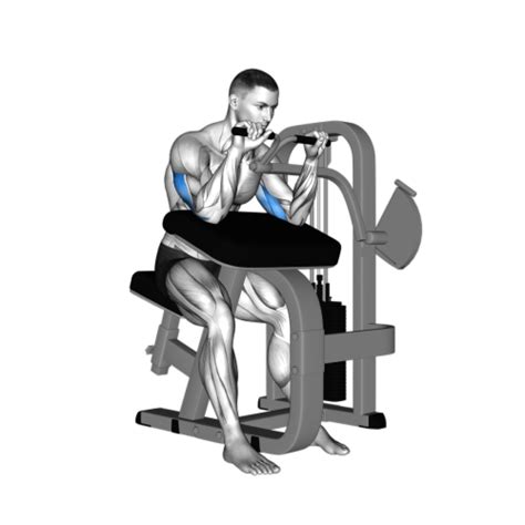 Tricep Extension Machine Smash Your Limit Burnfit