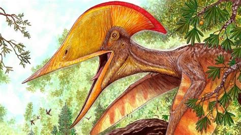 Paleontologists From China And Brazil Have Identified A New Species Of