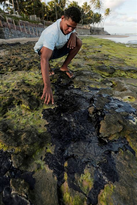 Petroleo Nas Praias Do Nordeste O Maior Desastre Ambiental Da