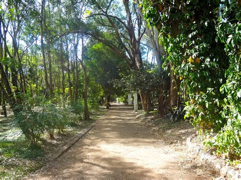 Parque Do Piqueri Em S O Paulo Reas Verdes Das Cidades Guia De