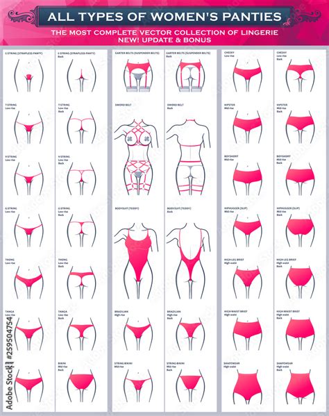 All Types Of Womens Panties The Most Complete Vector Collection Of