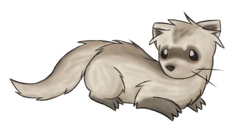 Cute Ferret Drawing at GetDrawings | Free download