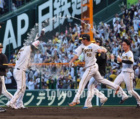 東スポ 写真部 On Twitter 【プロ野球】2023年5月3日 阪神x中日 今日のヒーロー 木浪聖也 タイガース Tigers