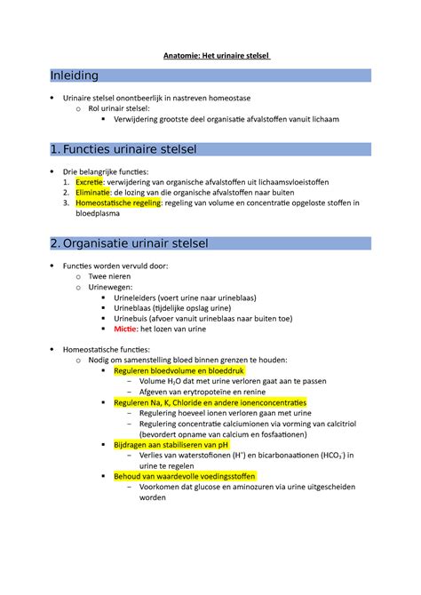 Urinair Stelsel Samenvatting Anatomie Het Urinaire Stelsel Inleiding