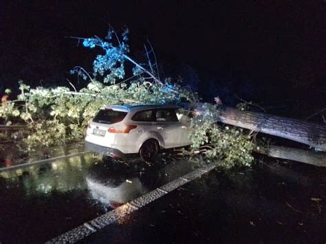 Fotogalerie Havárie osobního auta do stromu na silnici mezi Mostem a