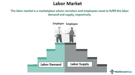 Labor Market Definition Graph Examples Significance