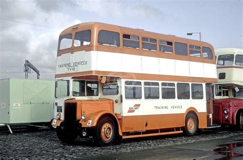 The Transport Library Selnec Leyland PD2 37 TV10 9833NA At Depot