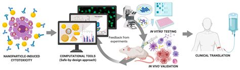 Nanomaterials Free Full Text Understanding Nanoparticle Toxicity To Direct A Safe By Design