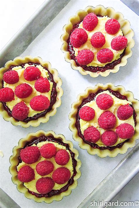 Raspberry Almond Frangipane Tart ShirlGard