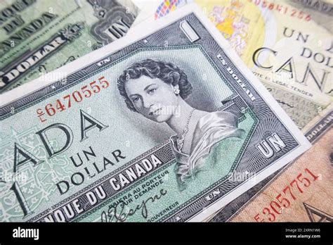 Bank of Canada Dollar Bill with young Queen Elizabeth on face Stock ...