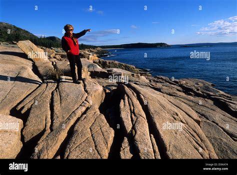 Elk282 2108 Maine Mount Desert Island Acadia National Park Park Loop