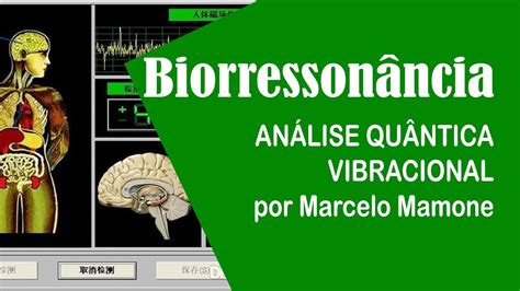 Biorresson Ncia An Lise Qu Ntica De Sa De Vibracional Youtube