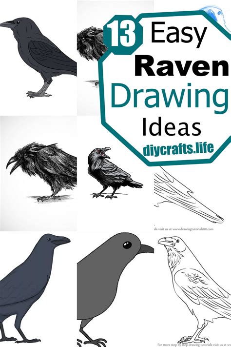 13 Raven Drawing Ideas - How to Draw a Raven - DIY Crafts