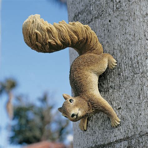 Design Toscano Simone the Squirrel Statue & Reviews | Wayfair