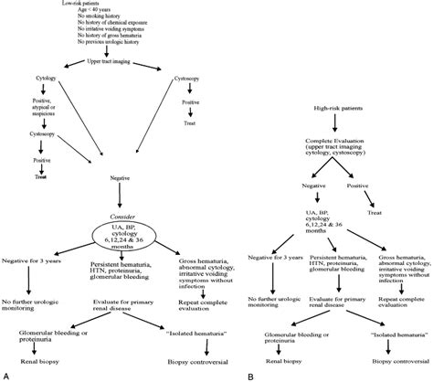 Evaluation Of Asymptomatic Microscopic Hematuria In Adults The