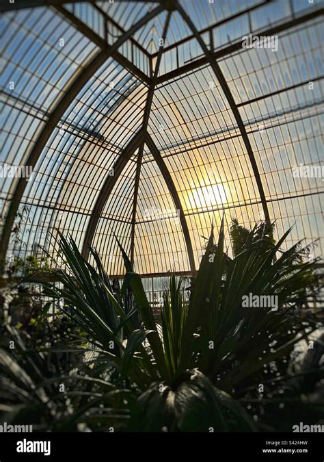 Greenhouse Silhouette Hi Res Stock Photography And Images Alamy