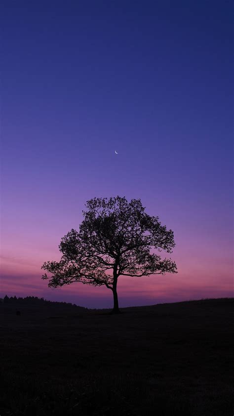 Lonely Night Wallpapers - Top Free Lonely Night Backgrounds ...